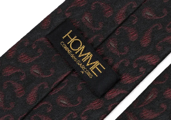 COMME des GARCONS HOMME Paisley Tie K-174407_006