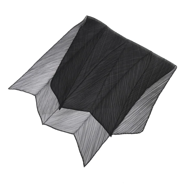 Unbranded Pleats Sheer Stole Black  K-174455_001