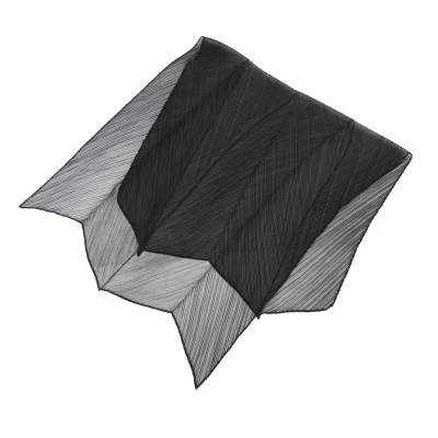 Unbranded Pleats Sheer Stole