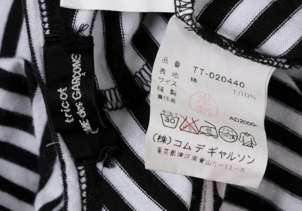 tricot COMME des GARCONS Dimensional Sleeves Asymmetry Hem Striped T-shirt K-174931_016