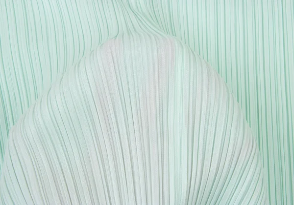 PLEATS PLEASE Pleats Sleeveless Blouse K-175076_014
