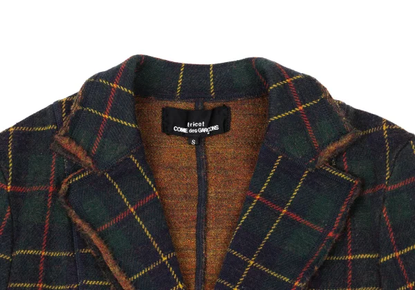 tricot COMME des GARCONS Check Knit Jacket K-175310_004