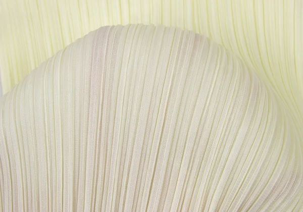 PLEATS PLEASE Turtle Neck T Shirt K-175536_008