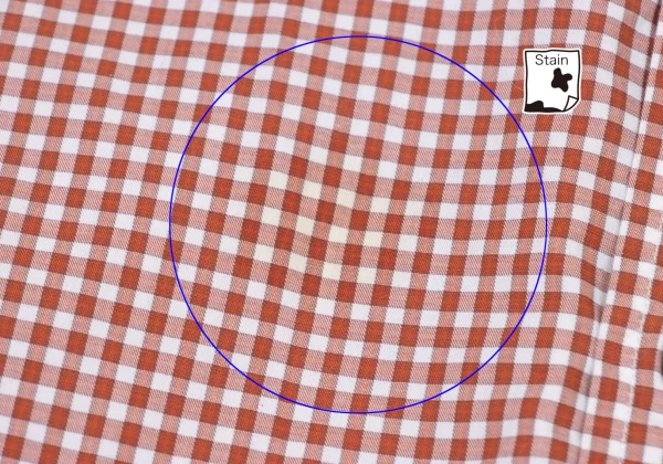 Papas+ Cotton Check Button Down Shirt K-175761_008