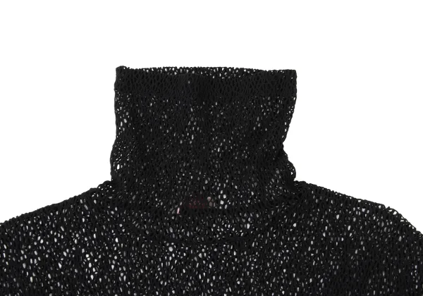 ROMEO GIGLI Mesh Stretch Turtleneck Dress K-176013_005