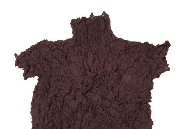 ISSEY MIYAKE PERMANENTE Wrinkle Pleats High Neck Short Sleeved Top K-176132_003