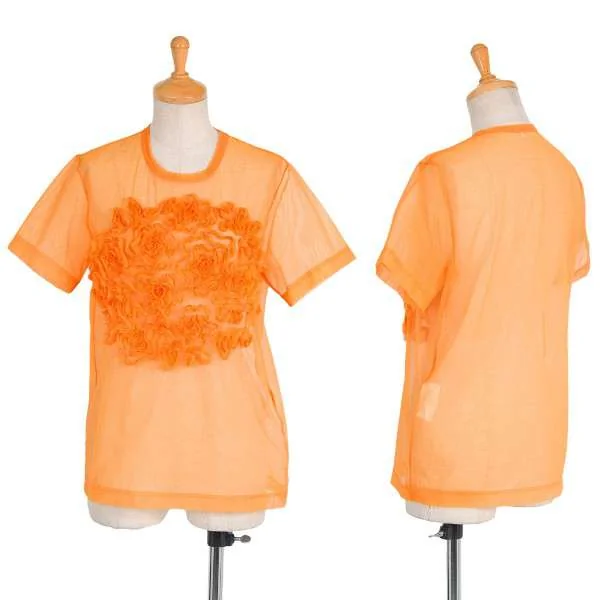 25546_1.webp