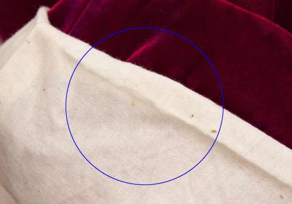 COMME des GARCONS Velor button less Hoodie coat K-34084_010