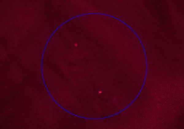 COMME des GARCONS Velor button less Hoodie coat K-34084_005