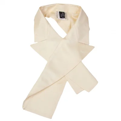 コムデギャルソンノアールCOMME des GARCONS NOIR シルク付け襟 パールベージュ