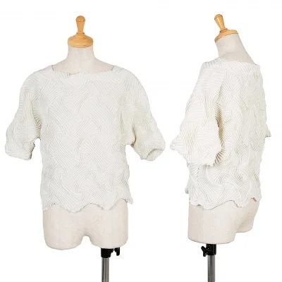 イッセイミヤケISSEY MIYAKE 立体模様デザインショートカットソー