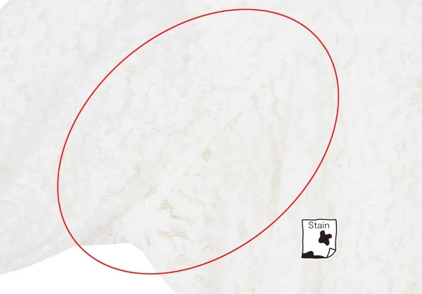 トリココムデギャルソンtricot COMME des GARCONS ストレッチレーススクエアネックカットソー オフM位 K-72407_005