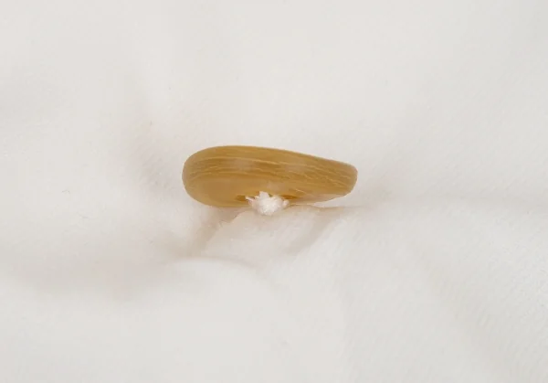 コムデギャルソンCOMME des GARCONS エステルカットオフデザインショートトレンチコート 白M位 K-79812_007