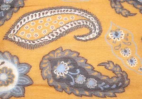 ジエッレ ミラノ for パパス プラスGIERRE MILANO for Papas ＋ペイズリー柄ウールストール 金茶 K-83703_005