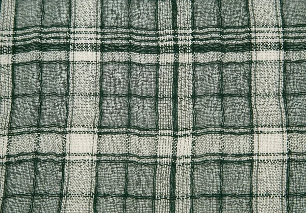 ワイズY's シースルーチェックフリンジストール 緑 K-85952_005