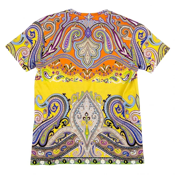 エトロETRO カラフルペイズリーVネックTシャツ マルチ38 K-86565_009