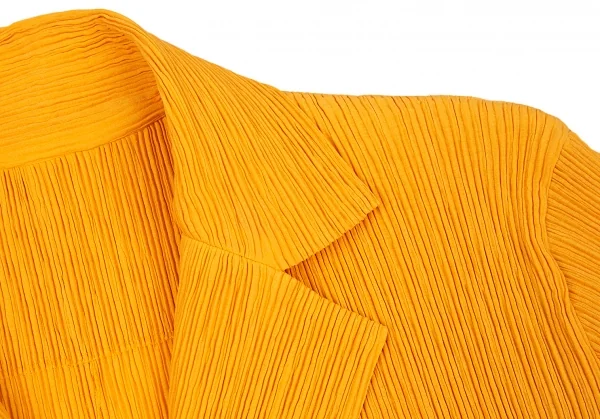 ISSEY MIYAKE FETE Pleats 3B Jacket K-88542_004