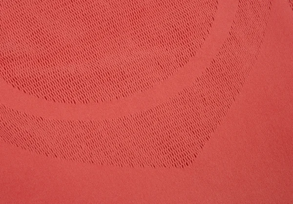 イッセイミヤケ フェットISSEY MIYAKE FETE A-POC INSIDE カッティングメッシュカットソー ピンク2 K-93830_006