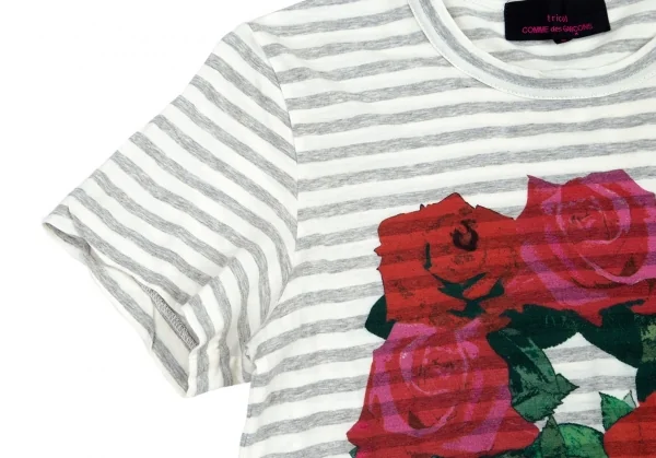 トリコ コムデギャルソン トリコスペシャルtricot COMME des GARCONS tricot pecial ローズプリントボーダーTシャツ オフグレーS K-95643_004